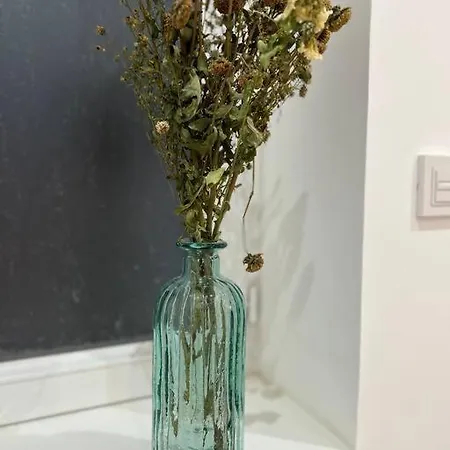 Apartment Fossil - Mmgreenhouse - Netflix & Wifi *