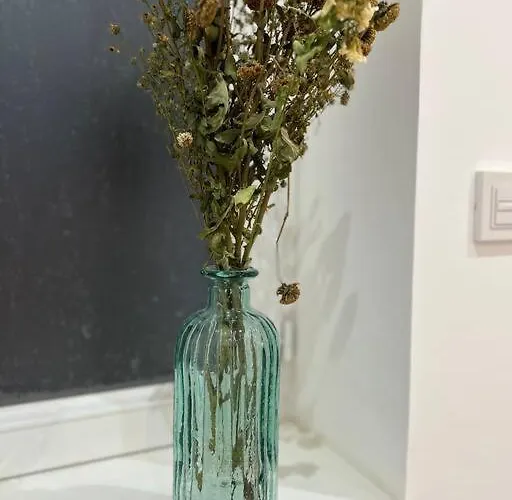 Appartement Fossil - Mmgreenhouse - Netflix & Wifi *